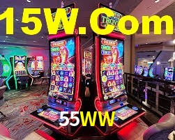 Premium Interface 55WW